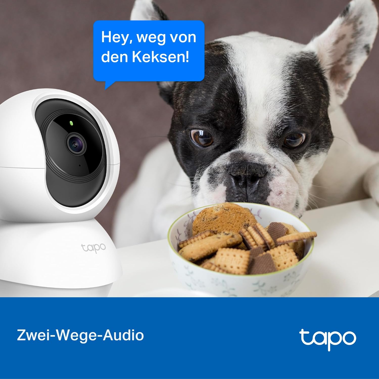 Tapo C200 - überwachungskamera innen